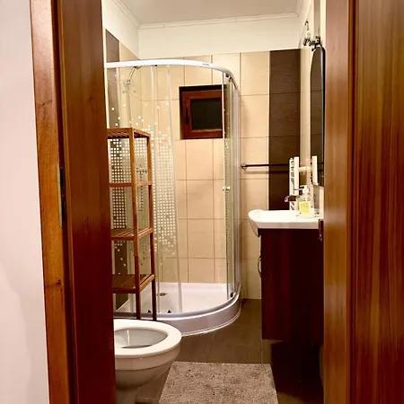 Dodi House Timişoara