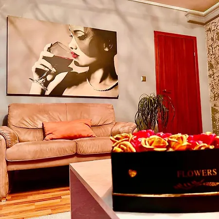 Dodi House Villa Timisoara