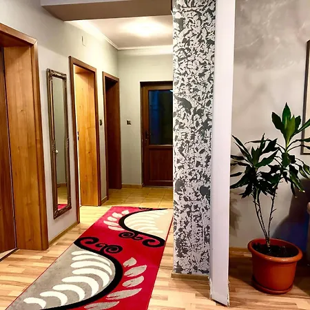 Dodi House Temešvár