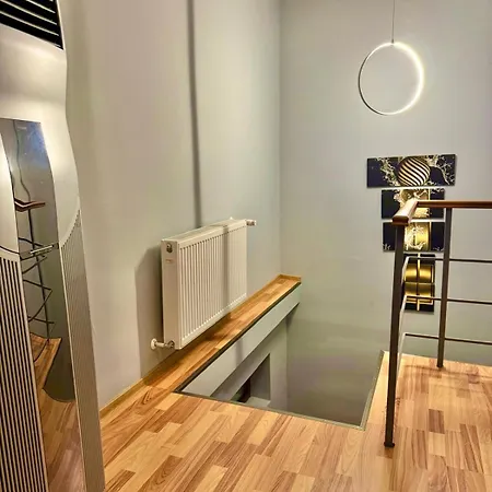 Villa Dodi House Timişoara