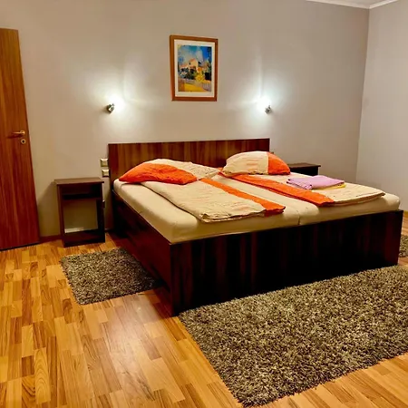 Dodi House Villa Timişoara