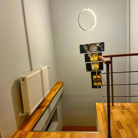 Villa Dodi House Timisoara