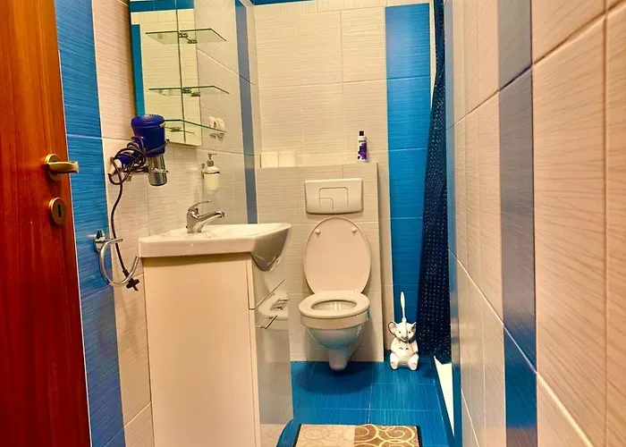 Dodi House * Timişoara