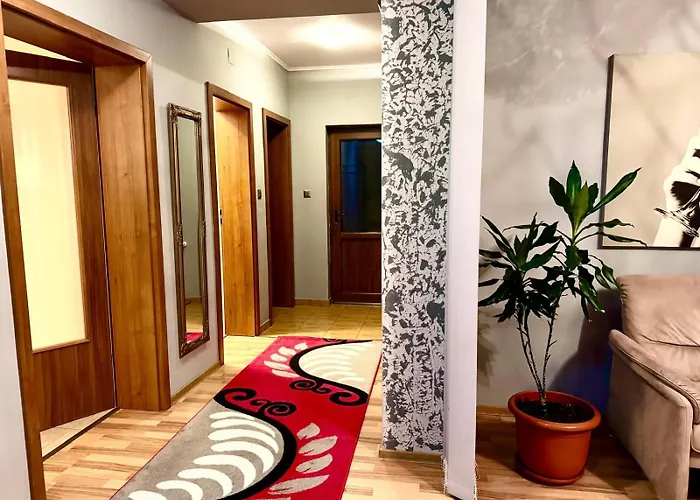 Dodi House Timişoara