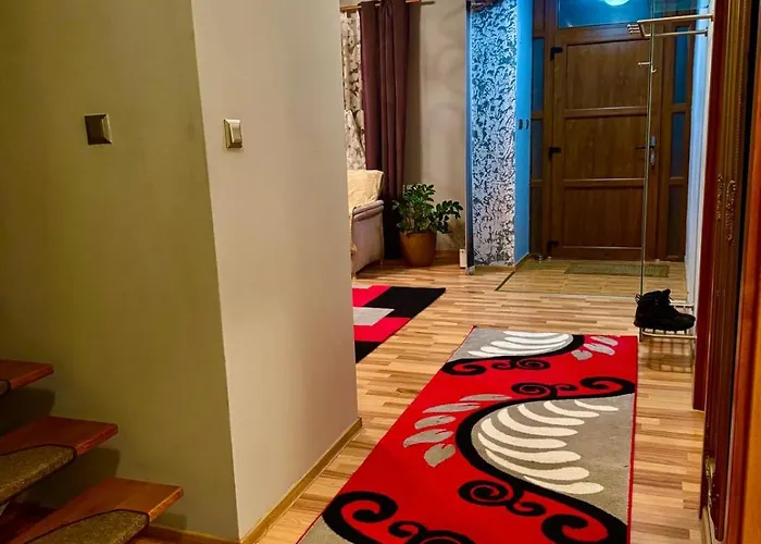 Dodi House Villa Timişoara