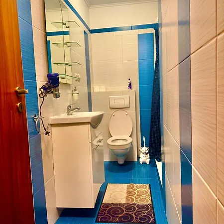 Dodi House * 티미쇼아라