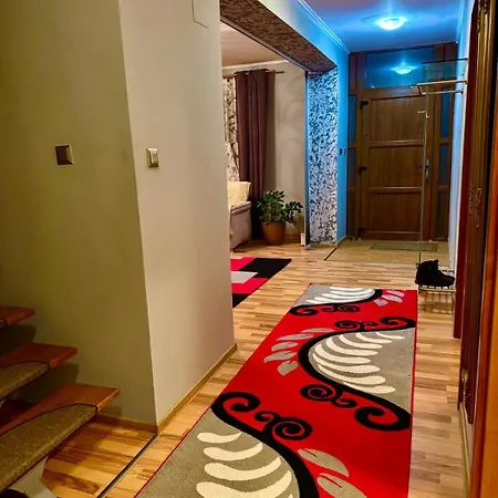 Dodi House 빌라 티미쇼아라