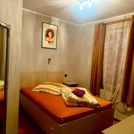 Dodi House 티미쇼아라