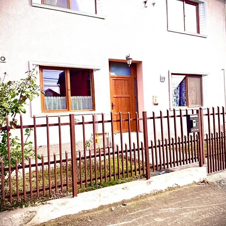 빌라 Dodi House 티미쇼아라