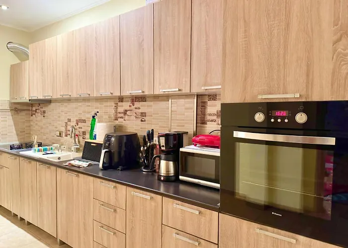 Dodi House Vilă Timişoara