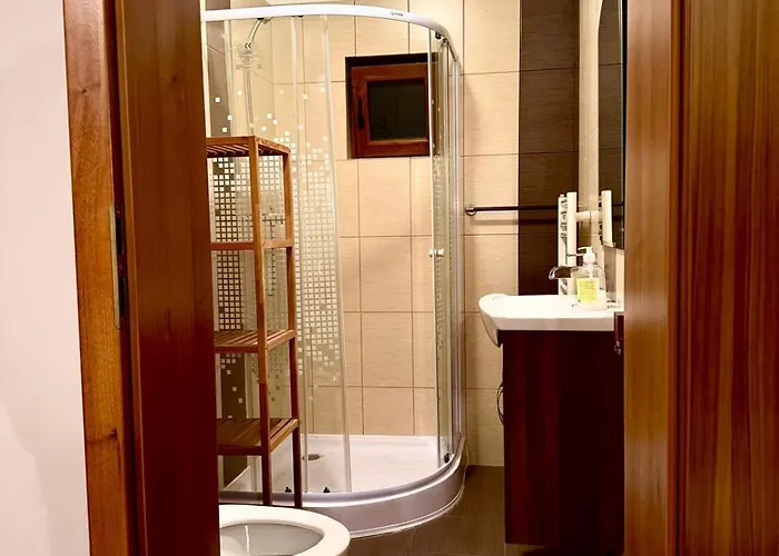 Vilă Dodi House Timişoara