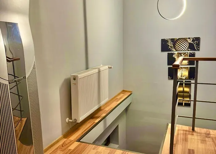 Vilă Dodi House Timişoara