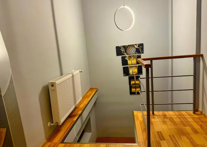 Vilă Dodi House Timişoara